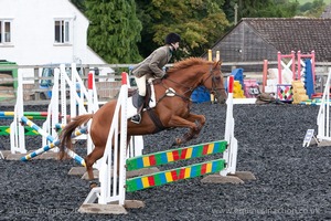 Class 5 - Fences not above 2'6